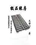 极品账房