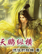 天鵬縱橫