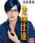 龍翔仕途