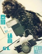 恭敬不如認命GL